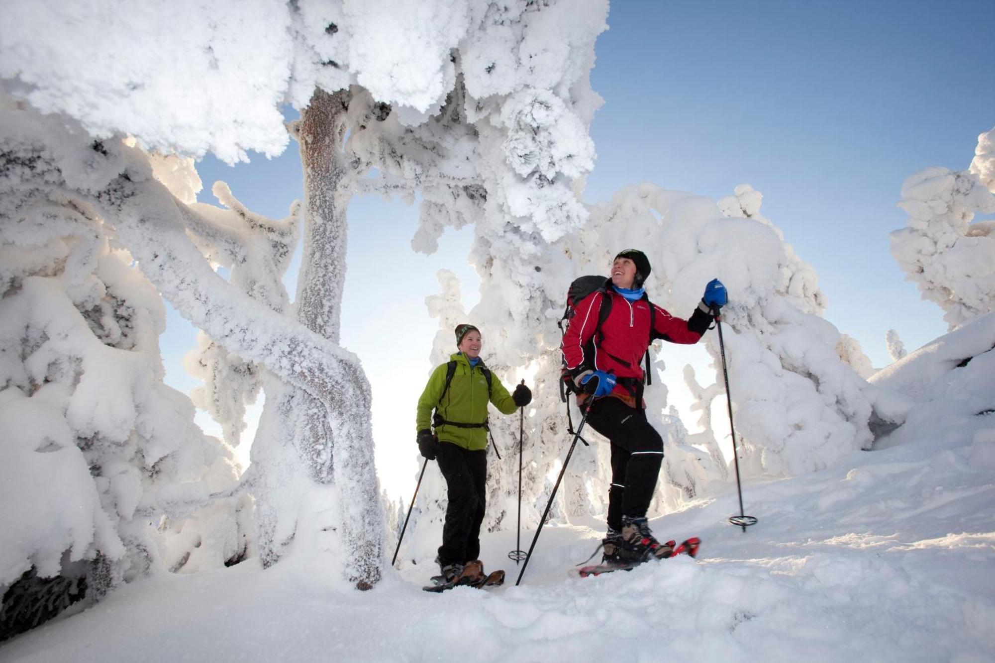 Break Sokos Koli Kylae 4* Kolinkylä